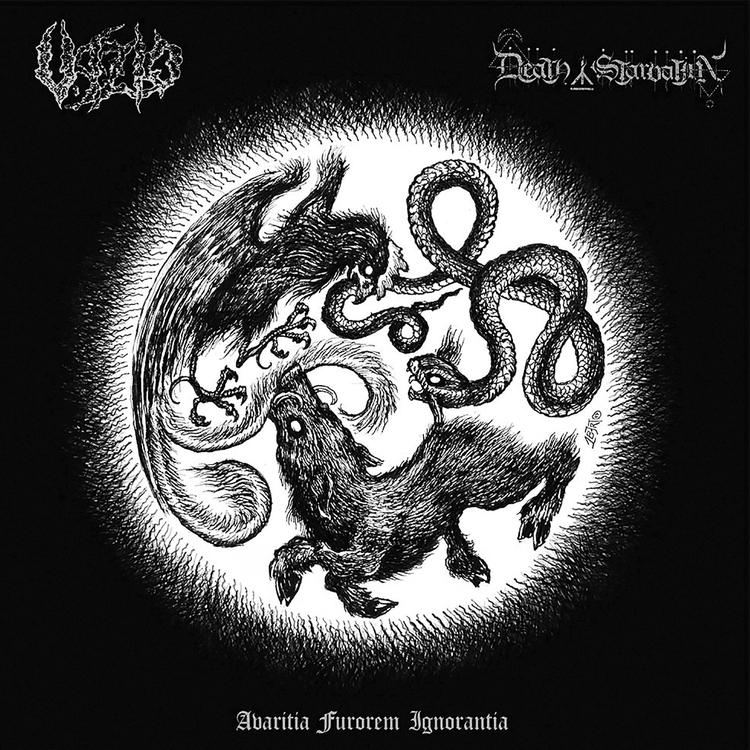 VazioBlackMetal's avatar image