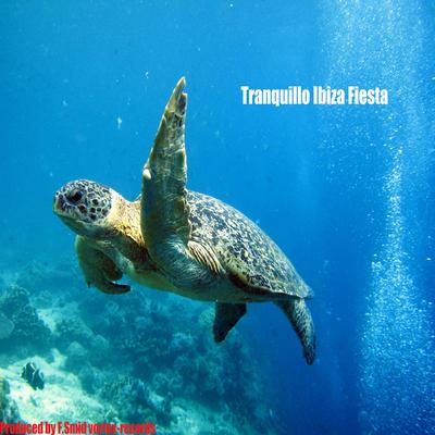 Tranquillo Ibiza Fiesta (Original Mix)'s cover