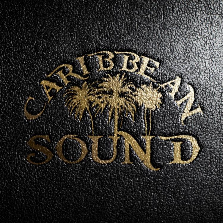 Caribbean Sound's avatar image