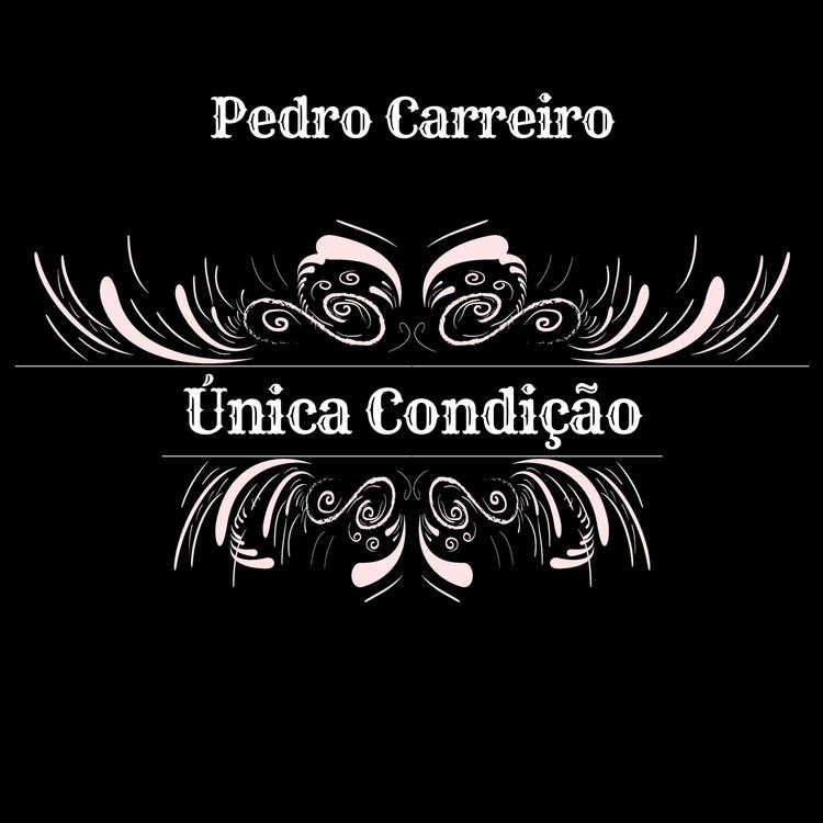 Pedro Carreiro's avatar image