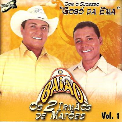 Os 2 Irmãos de Matões's cover