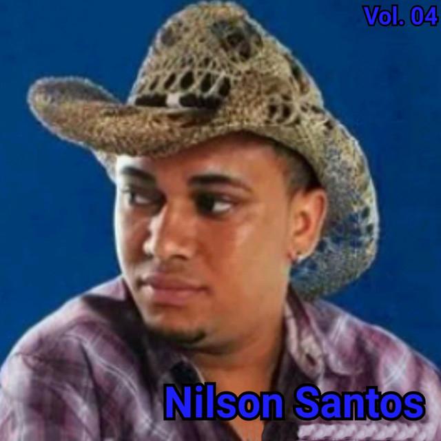 NILSON SANTOS's avatar image