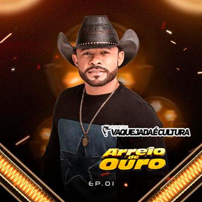 Vaqueiro Mentiroso By Arreio de Ouro's cover