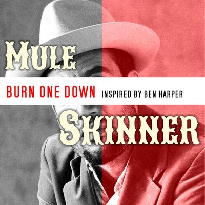 Burn One Down: Inspired by Ben Harper By Mule Skinner's cover