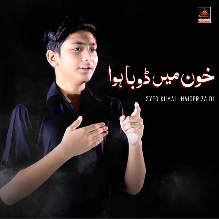 Syed Kumail Haider Zaidi's avatar image