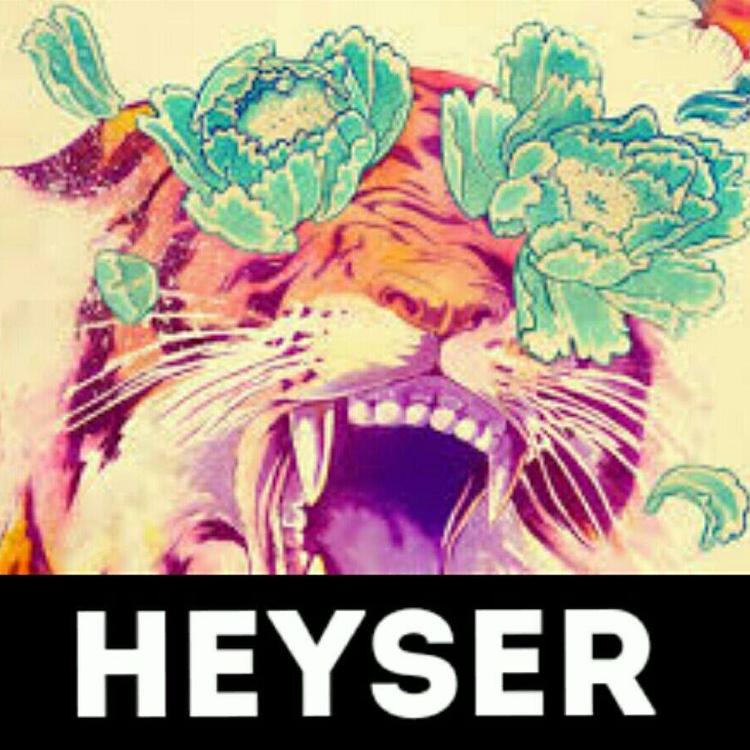 Heyser's avatar image