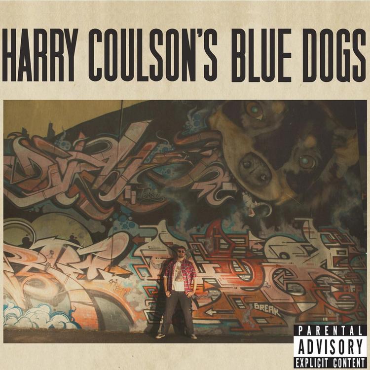 Harry Coulson's avatar image