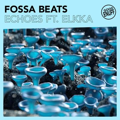 Echoes (feat. Elkka) By Fossa Beats, elkka's cover