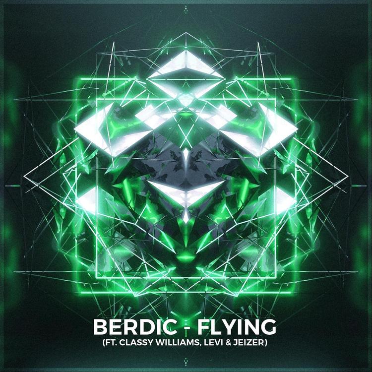 Berdic's avatar image