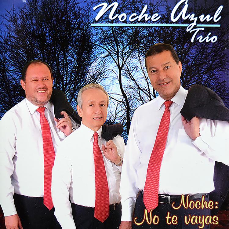 Noche Azul Trio's avatar image