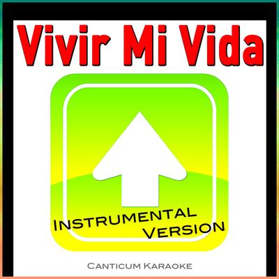 Vivir Mi Vida (Instrumental Version)'s cover