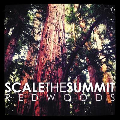 Redwoods By Scale the Summit's cover
