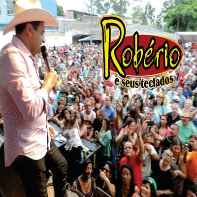 Fogo  no Faixo (Ao Vivo) By ROBÉRIO E SEUS TECLADOS's cover