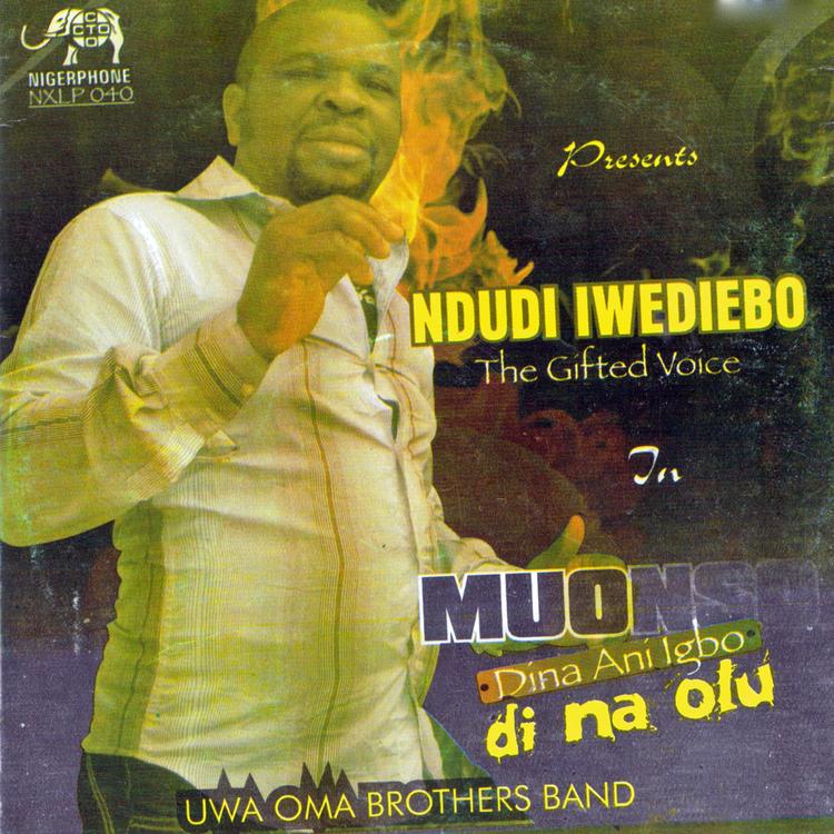Ndudi Iwediebo's avatar image