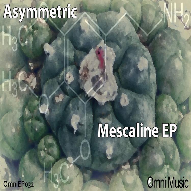 Asymmetric's avatar image