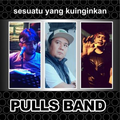 PULLS BAND's cover