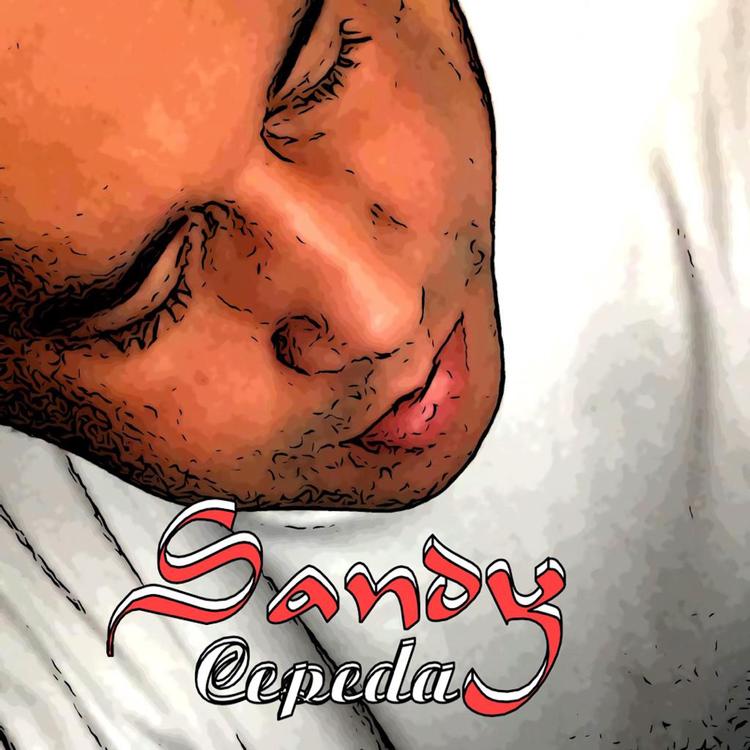 Sandy Cepeda's avatar image