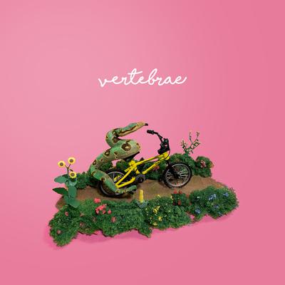 Vertebrae's cover