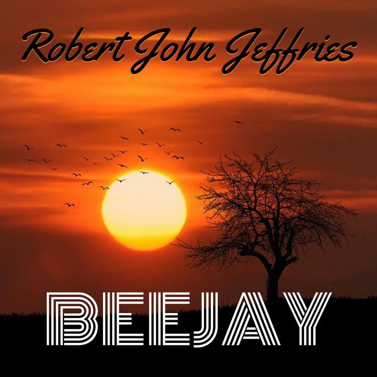Robert John Jeffries's avatar image