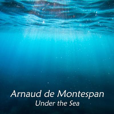 Under the Sea By Arnaud de Montespan's cover