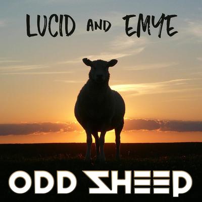 Odd Sheep's cover