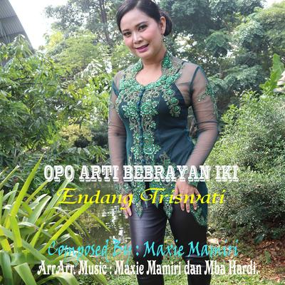 Opo Arti Bebrayan Iki's cover