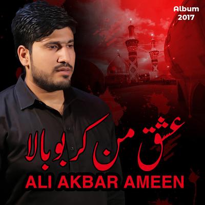 Ali Akbar Ameen's cover