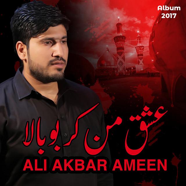 Ali Akbar Ameen's avatar image