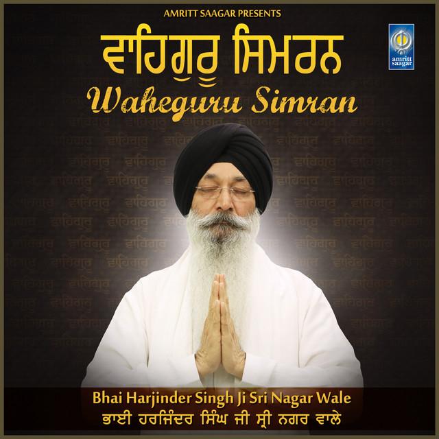 Bhai Harjinder Singh Ji -Sri Nagar Wale's avatar image