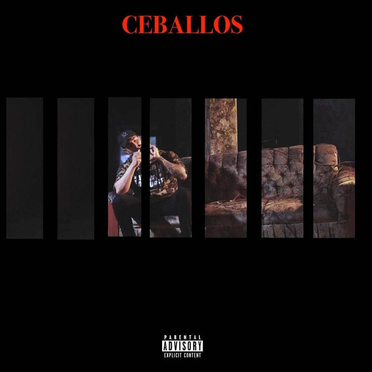 Ceballos's avatar image