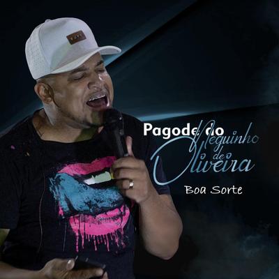 Boa Sorte (Ao Vivo)'s cover