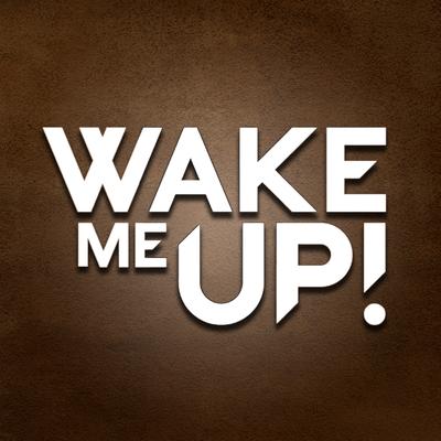 Wake Me Up - Avicii and Aloe Blacc Tribute - Levels - Avici - Aviici - #true's cover