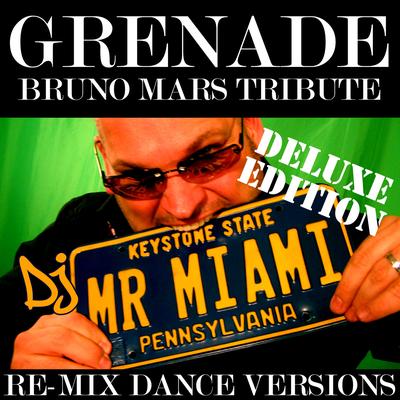 Grenade (Bruno Mars Tribute) (Miami Downtempo Mix)'s cover