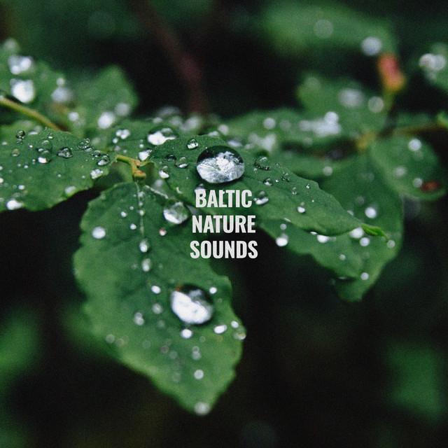 Baltic Nature Sounds's avatar image