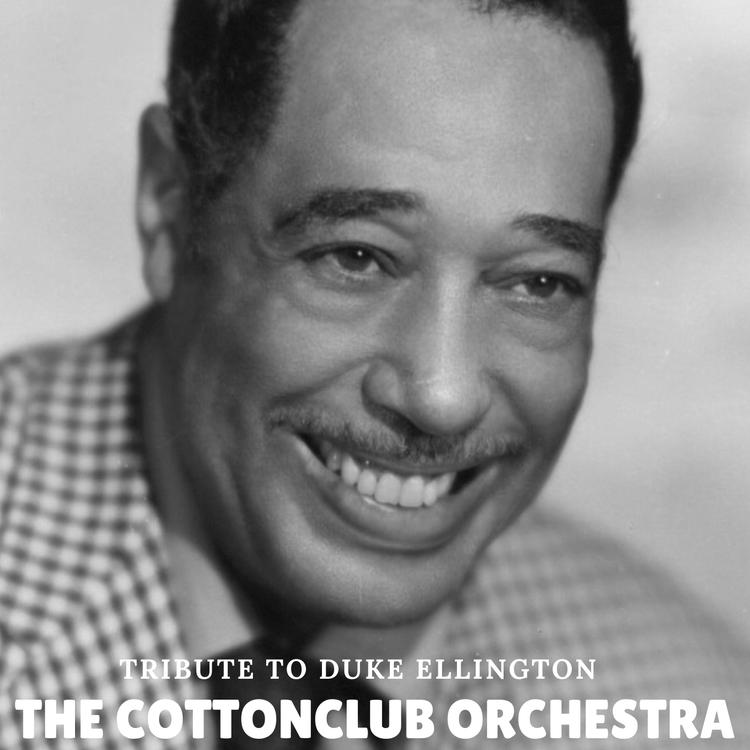 The Cottonclub Orchestra's avatar image