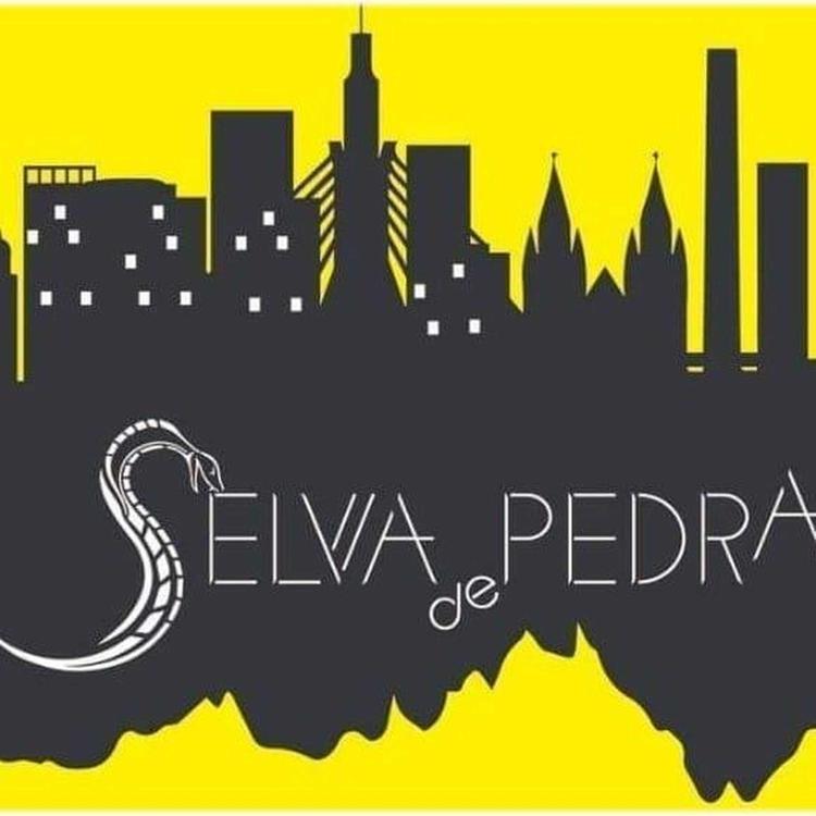 Banda Selva de Pedra's avatar image
