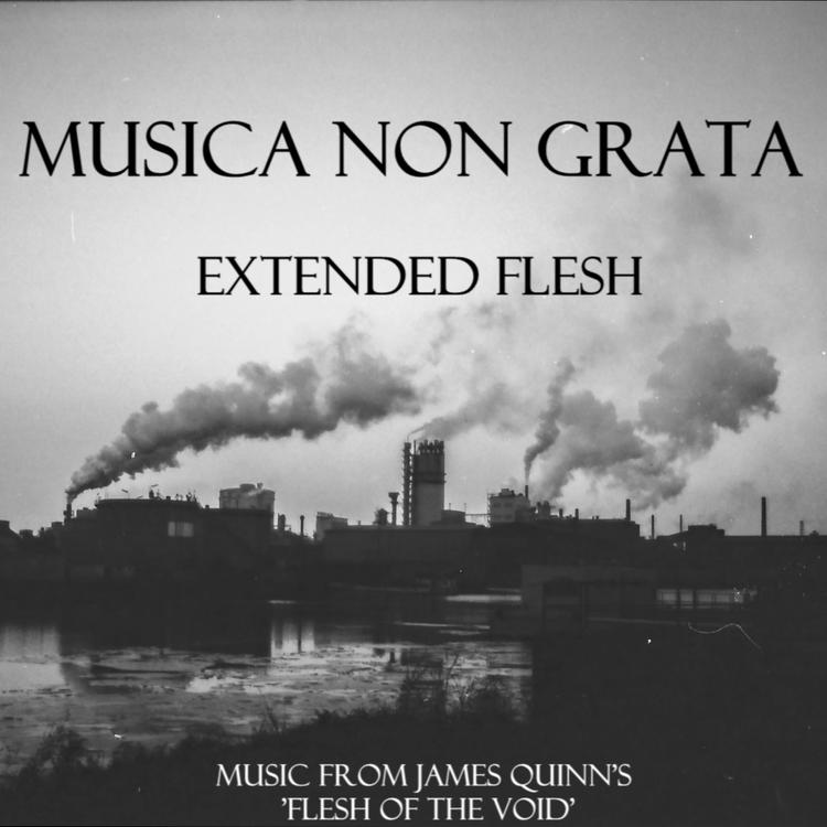 Musica Non Grata's avatar image