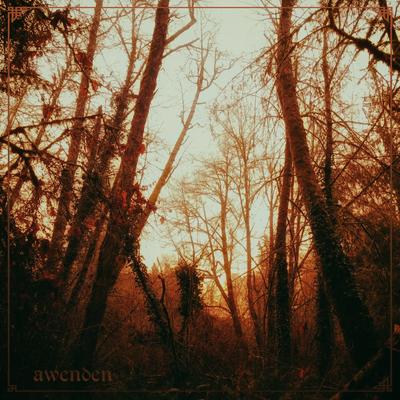 Dawn By Awenden's cover