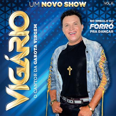 Festa Boa By Vigário's cover