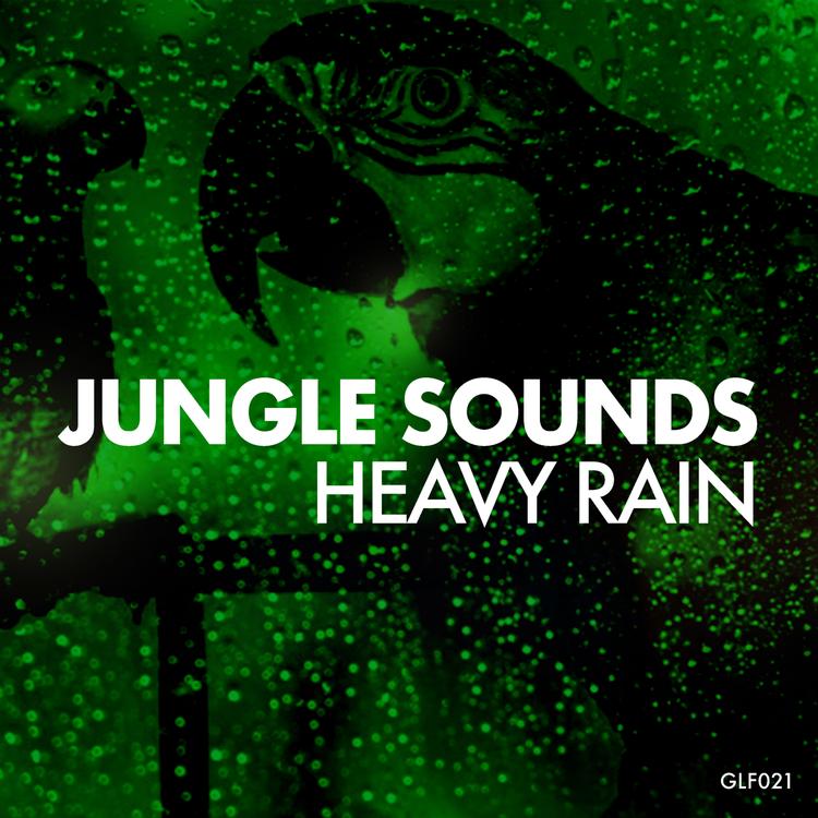Jungle Sounds's avatar image