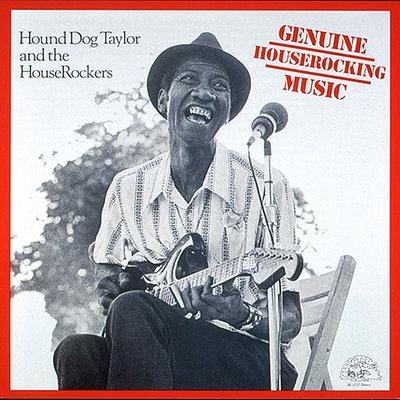 Ain't Got Nobody By Hound Dog Taylor's cover