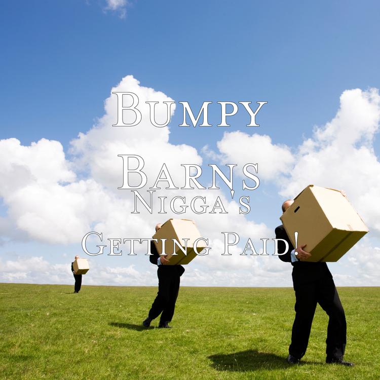 Bumpy Barns's avatar image