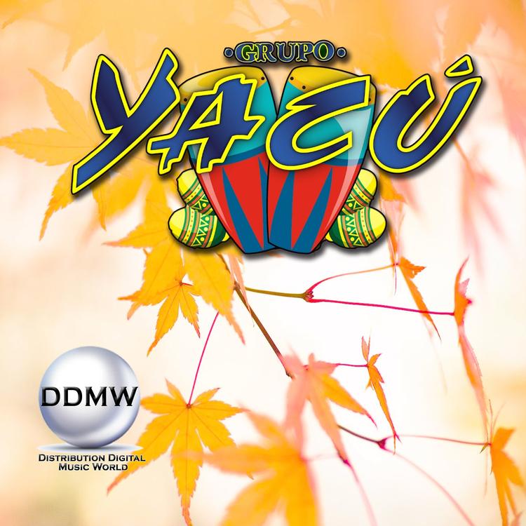 Grupo Yacú's avatar image