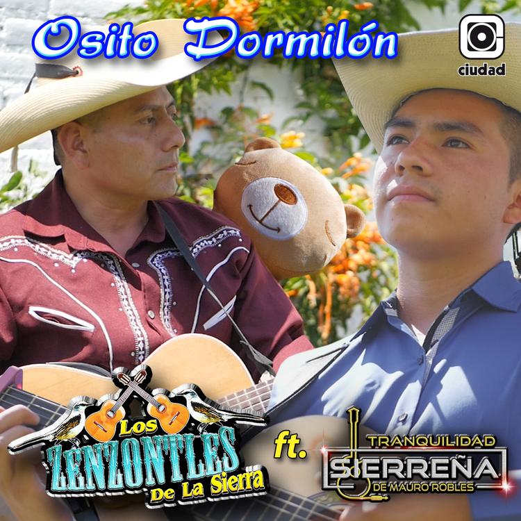 Los Zenzontles de La Sierra.'s avatar image