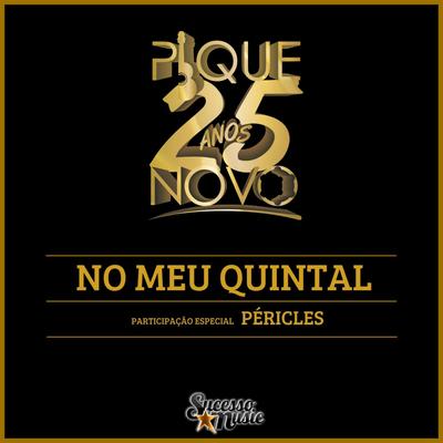 No Meu Quintal (25 Anos) By Pique Novo, Péricles's cover