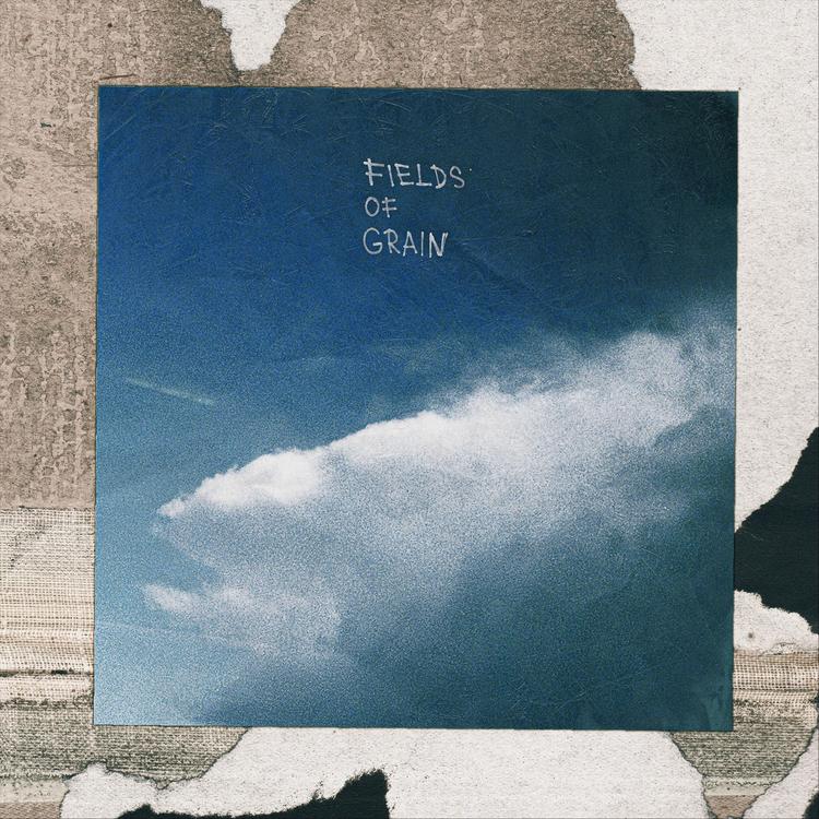 Fields of Grain's avatar image