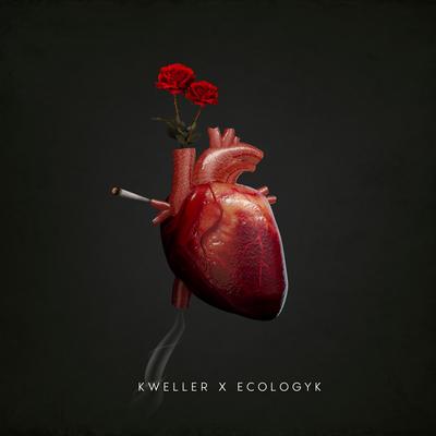 S2 By Kweller, Ecologyk's cover