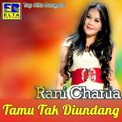 Tamu Tak Diundang (Lagu Minang Top Hits Dangdut)'s cover