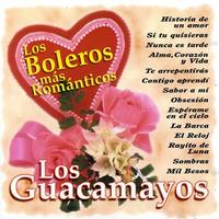 Los Guacamayos's avatar cover