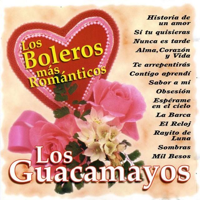 Los Guacamayos's avatar image